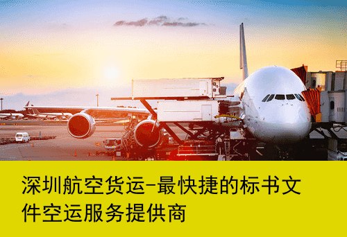 深圳航空货运-最快捷的标书文件空运服务提供商