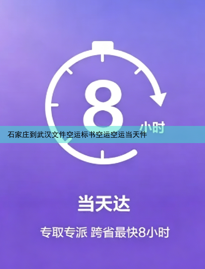 石家庄到武汉文件空运标书空运空运当天件