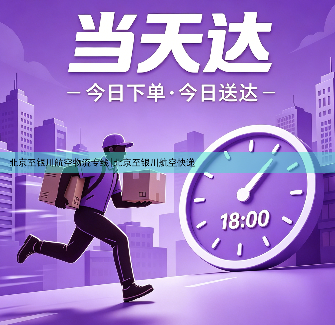 北京至银川航空物流专线|北京至银川航空快递