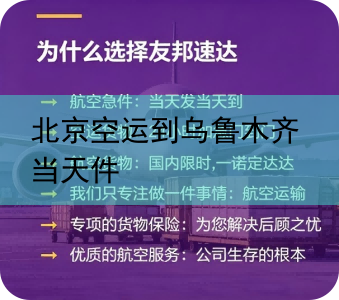 北京空运到乌鲁木齐当天件